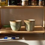 renk:Müdavim Yeşil