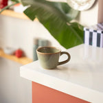 renk:Müdavim Yeşil